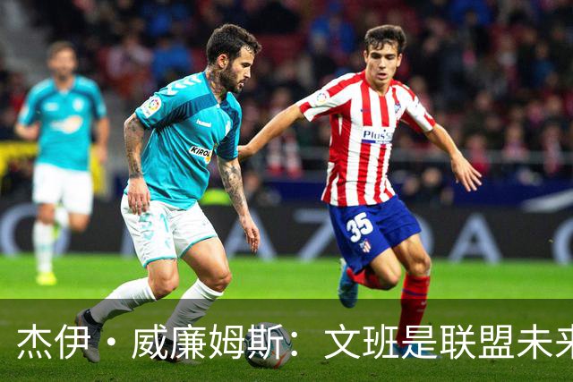 杰伊·威廉姆斯：文班是联盟未来门面 这就是他不会吃恶犯的原因
